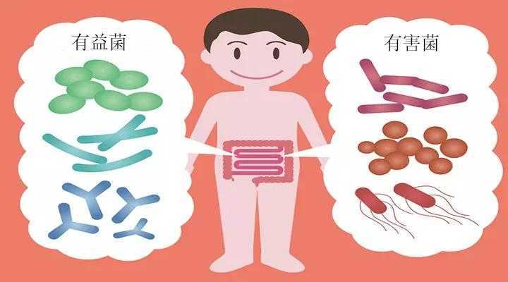 喝酸奶放屁臭怎么回事