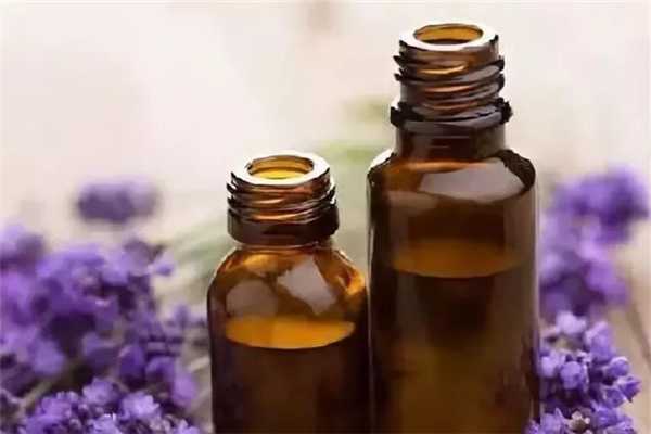 薰衣草精油的功效和作用