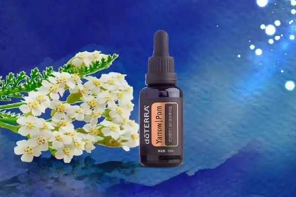 精华油有沉淀物是怎么回事