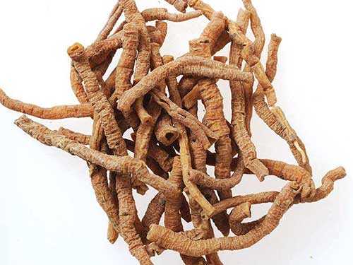 远志的功效与作用 远志的对身体的好处 远志的功效与作用 远志的对身体的好处