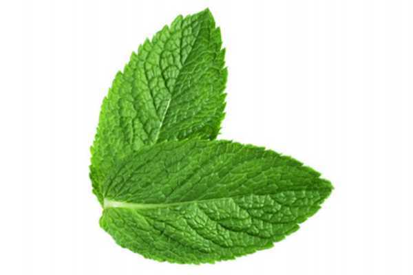 眼袋黑眼圈怎么消除