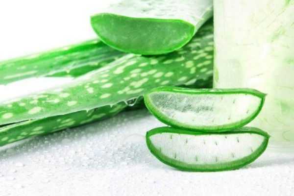 简单自制芦荟胶方法 简单自制芦荟胶方法