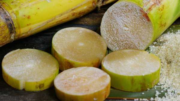 得了妇科病怎么办? 得了妇科病怎么办?