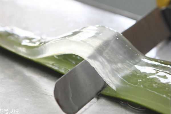 自家养的芦荟可以直接涂在脸上吗 看个人体质