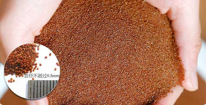 海藻面膜补水效果好吗