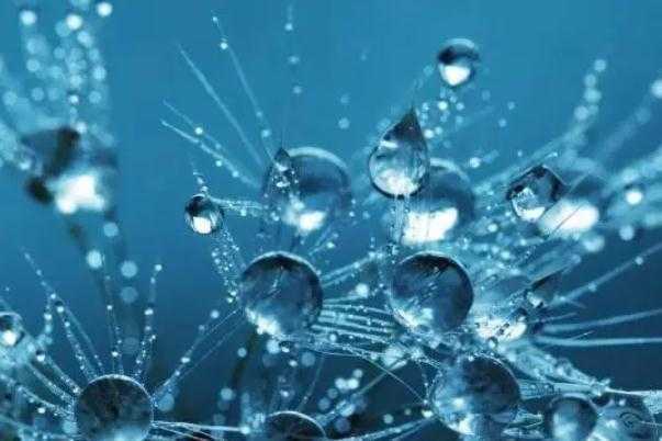 玻色因的功效与作用