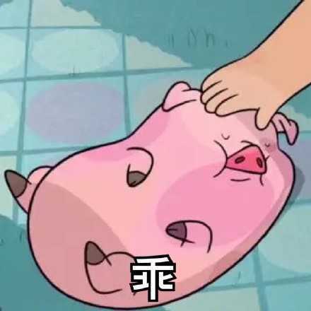 乖乖听话做过敏感测试的猪猪