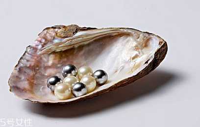 珍珠粉能收缩毛孔吗 缩毛孔这样做