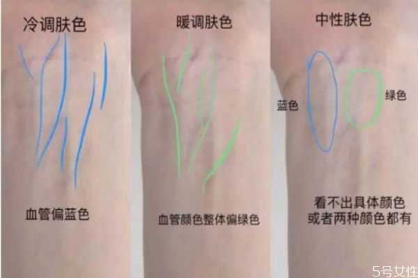 皮肤泛红选黄调还是粉调