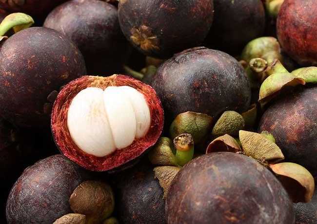 山竹是什么季节的水果