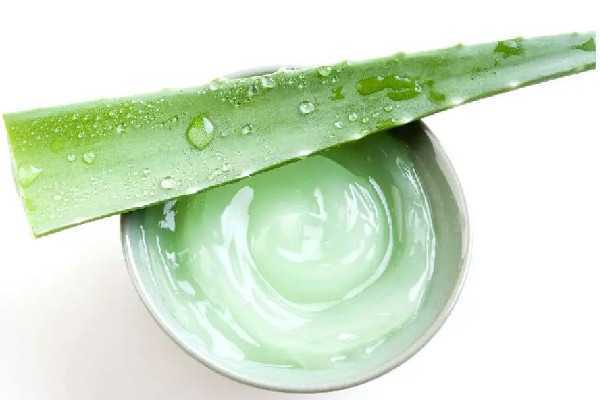 芦荟胶能修复疤痕吗？芦荟胶对烫伤有用吗