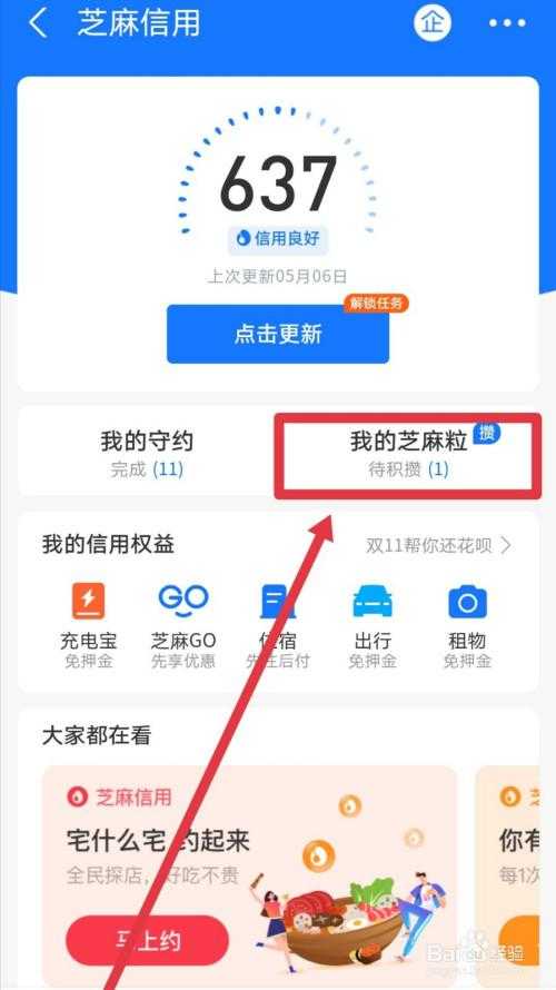 支付宝5个芝麻粒值多少钱? 支付宝5个芝麻粒值多少钱?