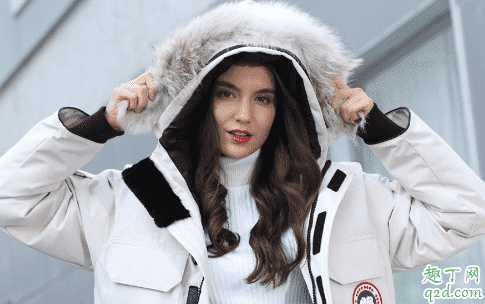 白色加拿大鹅耐脏吗？加拿大鹅买黑色还是白色