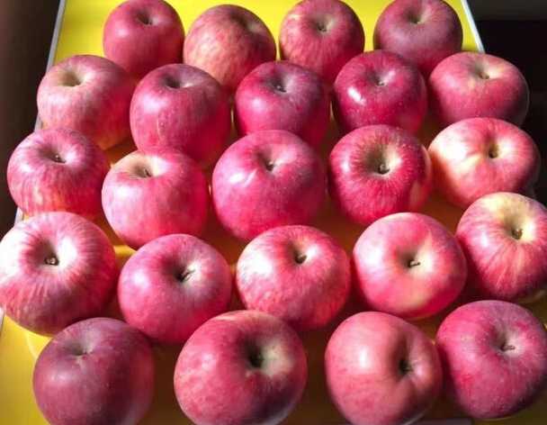 降血糖水果第一名是谁?降血糖最快的十种水果 降血糖水果第一名是谁?降血糖最快的十种水果