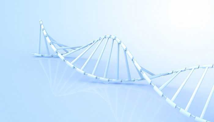 nmn和nad+的区别 nmn和nad+的区别