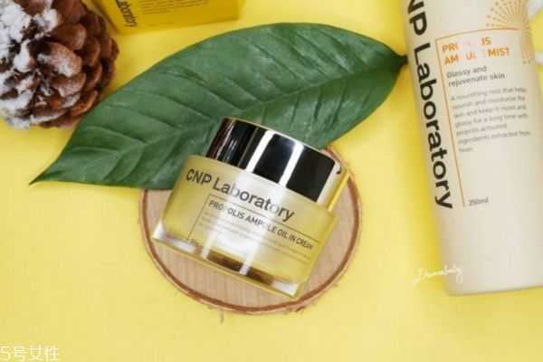 cnp蜂胶面霜适合什么肤质 cnp蜂胶面霜适合什么肤质