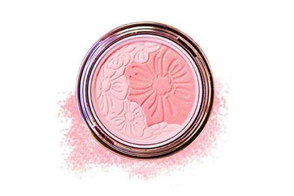 腮红飞粉跟刷子有关系吗