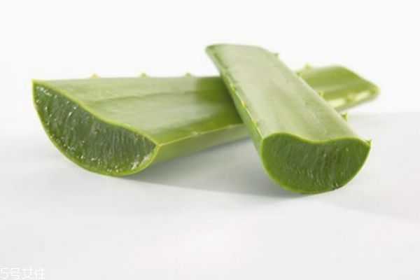 自制芦荟蜂蜜面膜怎么做