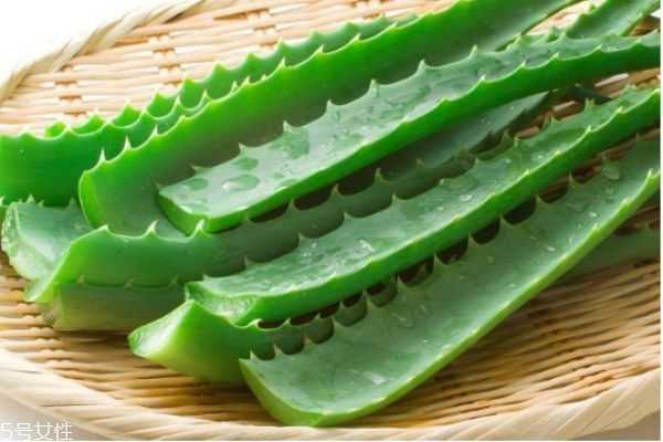 芦荟胶怎么使用方法 芦荟胶怎么使用方法