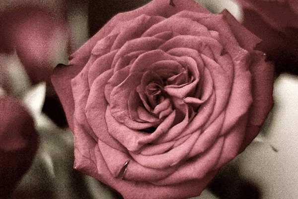 豆沙色口红适合什么年龄 豆沙色口红适合什么年龄