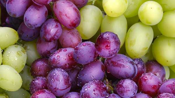 常喝酒易伤害身体怎么办?饮酒的危害有哪些? 常喝酒易伤害身体怎么办?饮酒的危害有哪些?