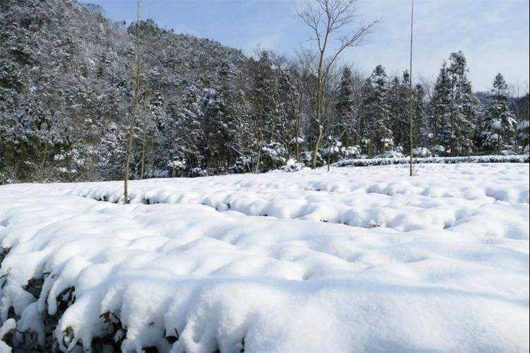 怎么让雪化的快点 怎么让雪化的快点