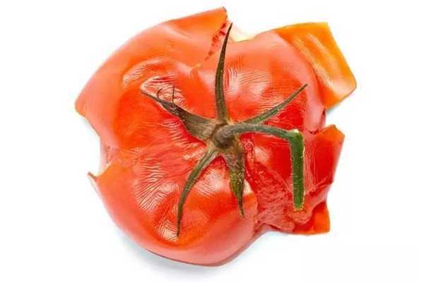 烂番茄口红适合什么肤色