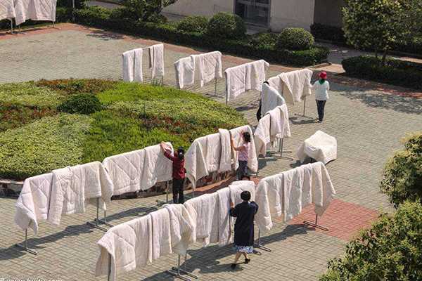 去除脸上螨虫的小妙招 去除脸上螨虫的小妙招