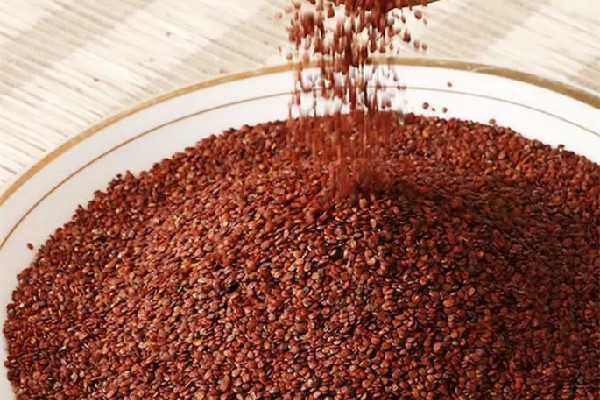 海藻面膜加什么可以美白淡斑 海藻面膜加什么可以美白淡斑