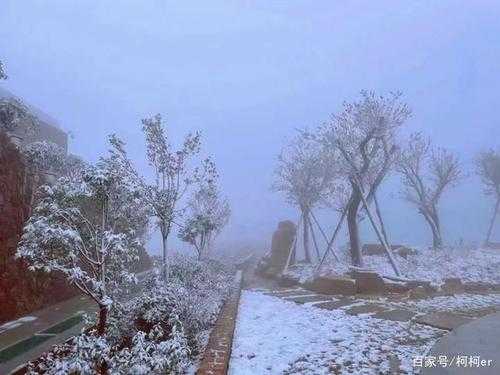 什么东西能让雪快速融化