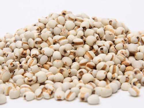 薏仁粉的功效与作用有哪些?吃薏仁粉有什么好处 薏仁粉的功效与作用有哪些?吃薏仁粉有什么好处