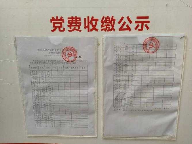 党费缴纳标准 党费缴纳标准