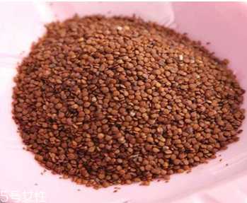 海藻面膜是清洁面膜吗？海藻属于清洁性面膜吗？