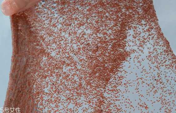 海藻面膜能去黑头吗？海藻面膜有去黑头功效吗？