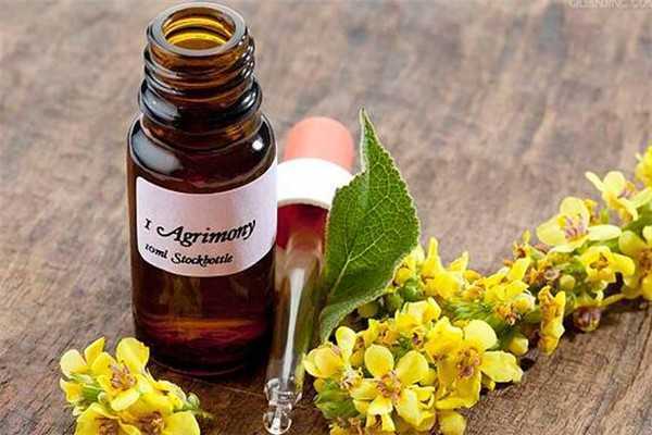 单方精油怎么调配?单方精油用什么基础油 单方精油怎么调配?单方精油用什么基础油