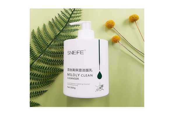 雪玲妃洗面奶适合干皮肤吗?雪玲妃洗面奶适合学生吗 雪玲妃洗面奶适合干皮肤吗?雪玲妃洗面奶适合学生吗