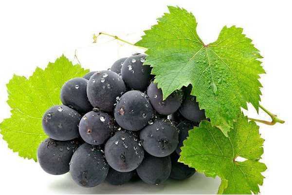 什么水果对皮肤修复好 什么水果对皮肤修复好