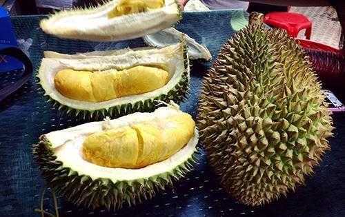 榴莲吃不完可以放冰箱吗 榴莲吃不完可以放冰箱吗