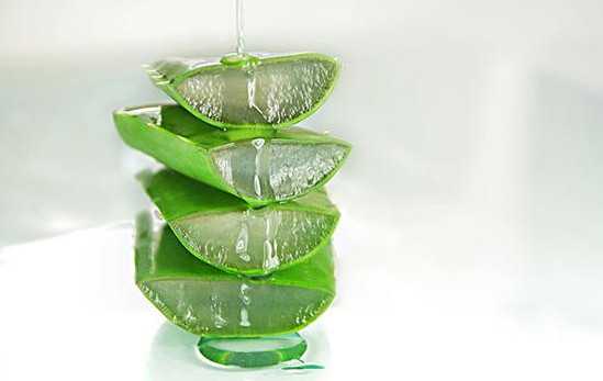 芦荟有哪些美容功效 芦荟的美容功效与作用