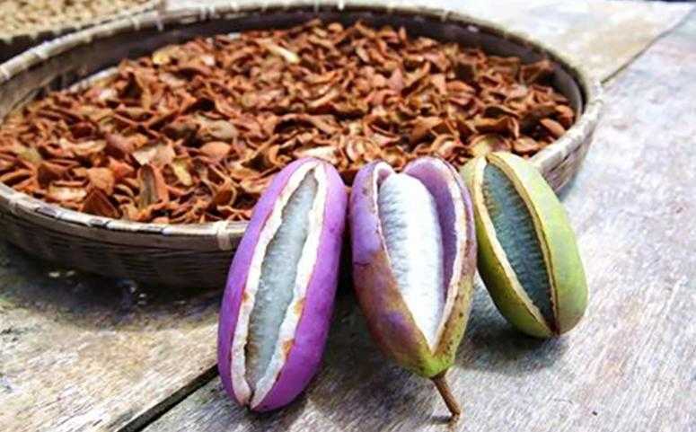 八月瓜的籽可以吃吗 八月瓜的籽可以吃吗