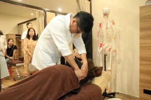 现在学日式整骨技术晚吗