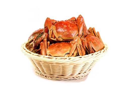 公螃蟹的蟹膏是什么东西?蟹膏苦的怎么回事 公螃蟹的蟹膏是什么东西?蟹膏苦的怎么回事