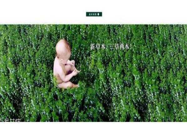 三草两木是微商吗 三草两木适合什么年龄