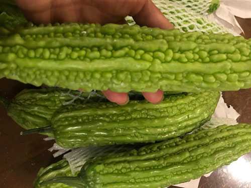 苦瓜籽能吃吗 苦瓜怎么炒好吃又不苦