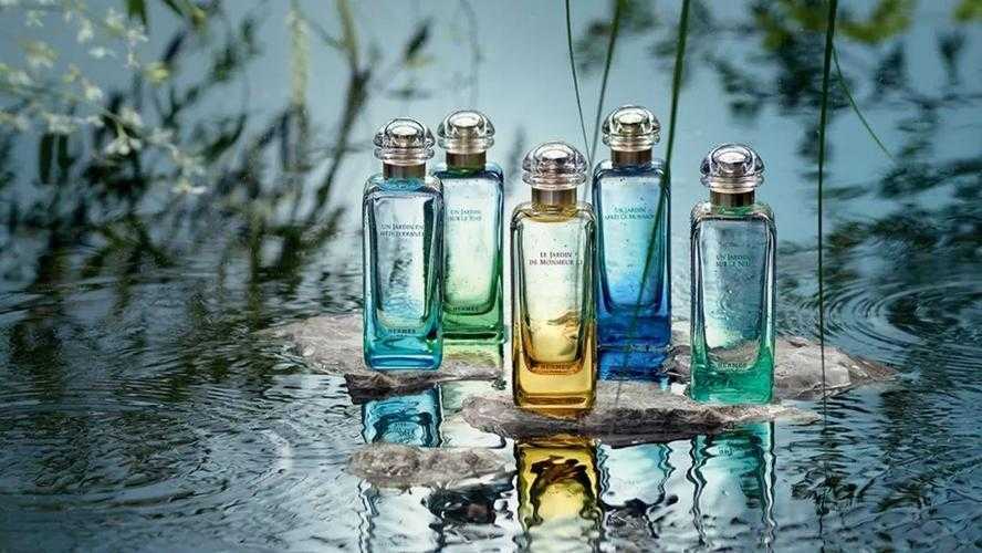 年轻的女孩在办公室推荐香水 推荐迪奥、香奈儿、爱马仕