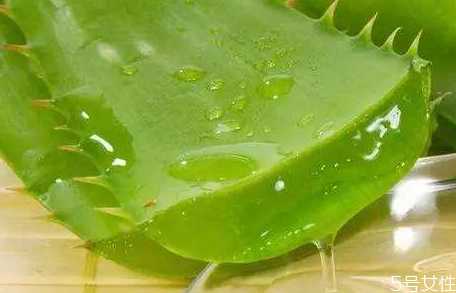 维e芦荟胶涂完要洗吗?维e和芦荟胶可以天天敷吗 维e芦荟胶涂完要洗吗?维e和芦荟胶可以天天敷吗