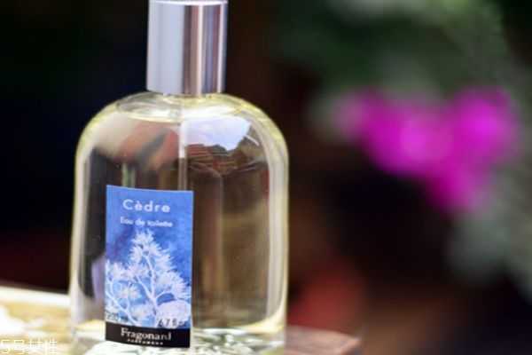 雪松味香水有哪些？雪松味香水推荐