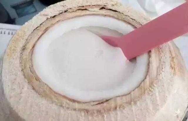 椰青里的白色果肉可以吃吗 椰青里的白色果肉可以吃吗