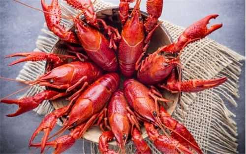 龙虾不能和什么一起吃 龙虾不能和什么一起吃