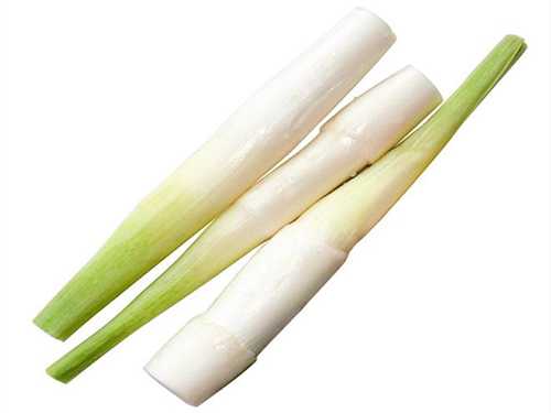 茭白的营养价值 茭白是什么植物 茭白的营养价值 茭白是什么植物